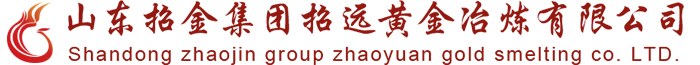 招冶公司